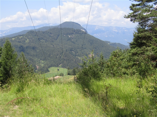 Monti ed alberi